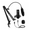 MICROFONO BALAM RUSH USB WINDOW