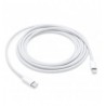 USB-C TO LIGHTNING CABLE (2 M)