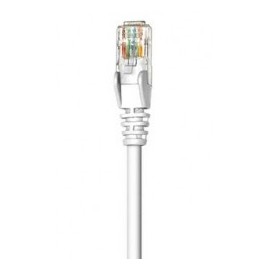 CABLE DE RED PATCH CAT6 RJ45 0 5M BLANCO